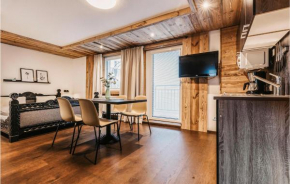 Nice apartment in Wagrain with WiFi and 1 Bedrooms